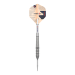Target Raymond Van Barneveld Barney25 Swiss Point Steeldarts