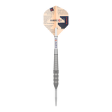 Target Raymond Van Barneveld Barney25 Swiss Point Steeldarts