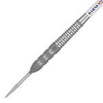 Target Raymond Van Barneveld Barney25 Swiss Point Steeldarts